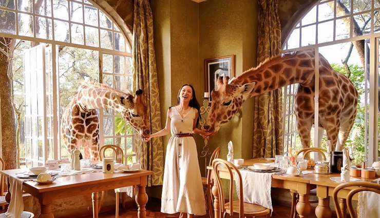 hotels near wild animals,wildlife hotels worldwide,lodges near wildlife habitats,stays with animals around the world,hotels near nature reserves,accommodations near wildlife sanctuaries,unique stays with wild animals,wildlife-friendly hotels,nature-inspired hotel experiences,hotels amidst natural habitats,safari lodges worldwide,nature retreats with wildlife,hotels by animal reserves,animal-friendly accommodations,wildlife-centric hotel stays,eco-resorts near wildlife,lodgings amidst nature reserves,experiential stays with animals,unique wildlife accommodations,hotels with animal encounters