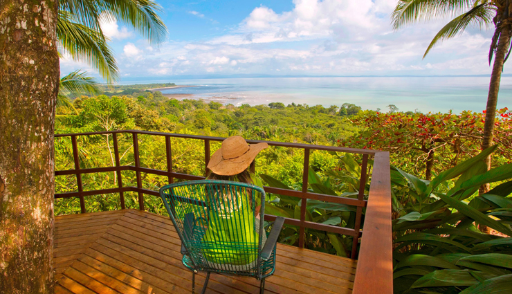 hotels near wild animals,wildlife hotels worldwide,lodges near wildlife habitats,stays with animals around the world,hotels near nature reserves,accommodations near wildlife sanctuaries,unique stays with wild animals,wildlife-friendly hotels,nature-inspired hotel experiences,hotels amidst natural habitats,safari lodges worldwide,nature retreats with wildlife,hotels by animal reserves,animal-friendly accommodations,wildlife-centric hotel stays,eco-resorts near wildlife,lodgings amidst nature reserves,experiential stays with animals,unique wildlife accommodations,hotels with animal encounters