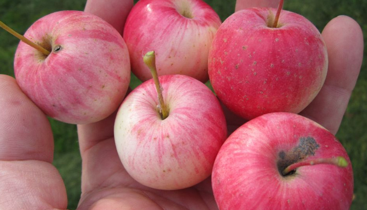 foods that leads to miscarriage in early pregnancy,healthy living,Health tips