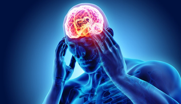 wild lettuce,Health tips,health benefits of wild lettuce,fitness tips