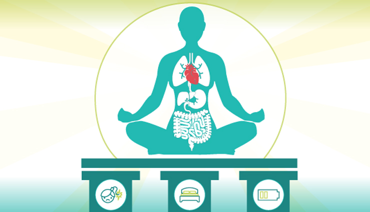 wild lettuce,Health tips,health benefits of wild lettuce,fitness tips