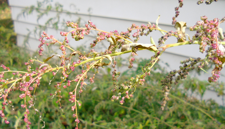 natural remedies to boost sex power,best foods to enhance sex drive,effective exercises for improved sexual performance,tips to increase libido and stamina,herbal supplements for increased sex power,lifestyle changes for better sexual health,yoga poses for enhanced sexual energy,ayurvedic treatments for improved sexual vitality,mental health and its impact on sexual performance,how to maintain a healthy sexual relationship