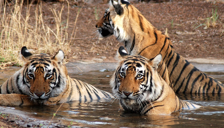 abohar city,reason to visit abohar city,punjab tourism,punjab tourist place abohar city,things to see in abohar city,travel,travel guide,tourism,holidays,india tourism