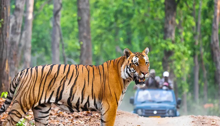 himachal pradesh travel must-dos,best experiences in himachal pradesh,top attractions in himachal pradesh,himachal pradesh adventure activities,explore himachal pradesh highlights,himachal pradesh tourist spots,things to see in himachal pradesh,himachal pradesh travel essentials,himachal pradesh cultural experiences,himachal pradesh natural wonders