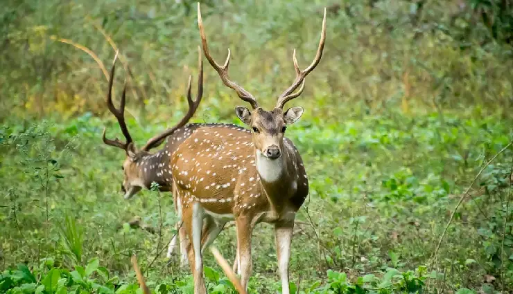 family holiday in himachal pradesh,himachal family trip,himachal pradesh family vacation,best places in himachal for family,family trip himachal guide,himachal family tour,family destinations himachal pradesh,adventure and culture in himachal,family outing himachal pradesh,himachal family holiday guide