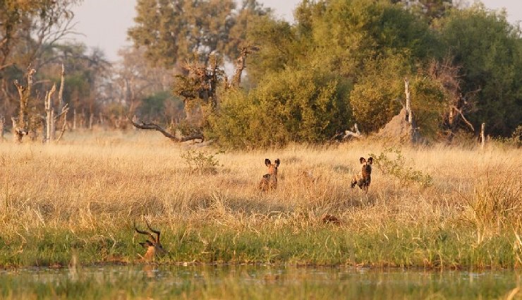 adventurous things to do in chandigarh,offbeat chandigarh activities,thrilling experiences chandigarh,adventure near sukhna lake,chandigarh travel guide,things to do beyond rock garden,unique activities in chandigarh