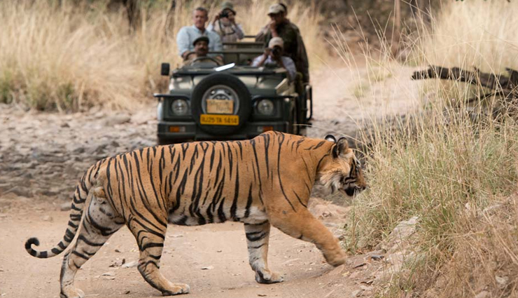 6 Wildlife Reserves To Visit in India