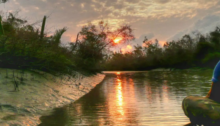 wildlife safaris,wildlife safaris in india