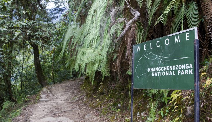 wildlife safaris,wildlife safaris in india