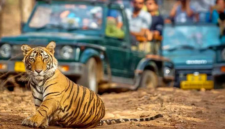 wildlife sanctuaries in india,india,wildlife sanctuaries,bhadra wildlife sanctuary,dibang valley wildlife sanctuary,ranthambore national park,periyar wildlife sanctuary,sundarbans national park