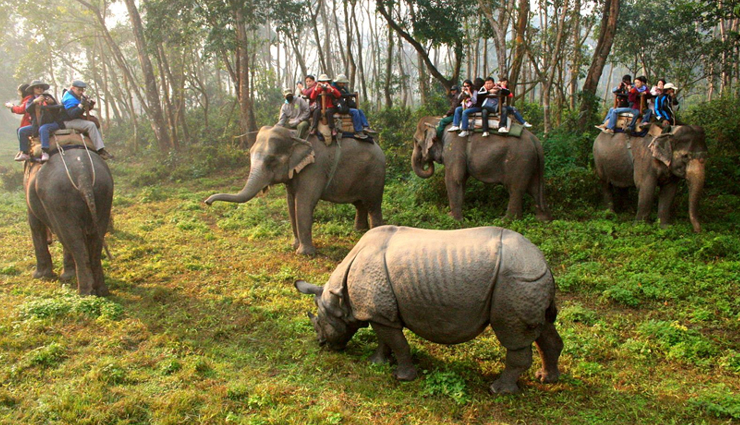 7 Best Wildlife Sanctuaries To Visit in Nepal