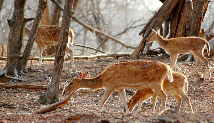 tourist places,indian tourist places,rajasthan tourist places,mount abu,mount abu tourist places,beautiful places