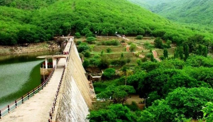 एशियाई सिंहों के लिए विख्यात है जूनागढ़ स्थित गिरनार, पर्यटकों को देखने को मिलता है और भी बहुत कुछ girnar junagadh tourist attractions,explore girnar top sights,best places to visit in girnar junagadh,girnar travel destinations,must-see landmarks in girnar junagadh,girnar sightseeing spots,discover girnar famous sites,girnar junagadh iconic tourist places,unforgettable experiences in girnar,exploring the beauty of girnar junagadh