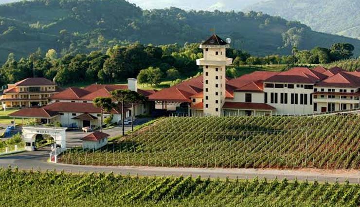 5 Beautiful Wine Regions To Visit in Uruguay