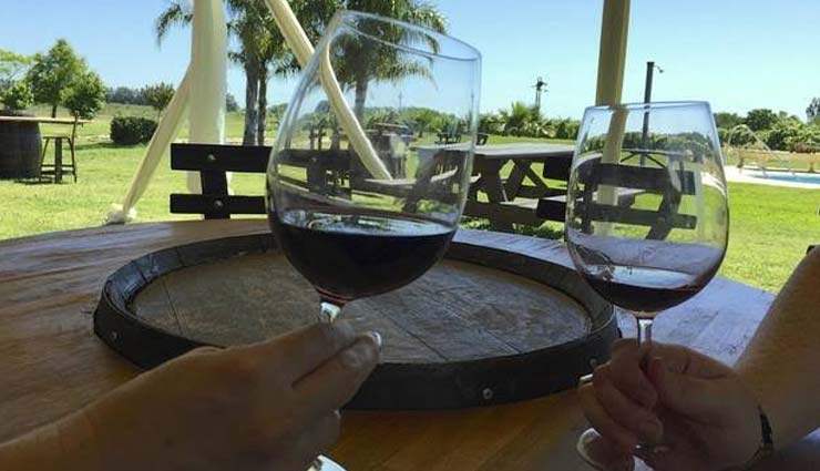 wine regions,wine regions in uruguay,uruguay,colonia,canelones,maldonado,rivera,durazno