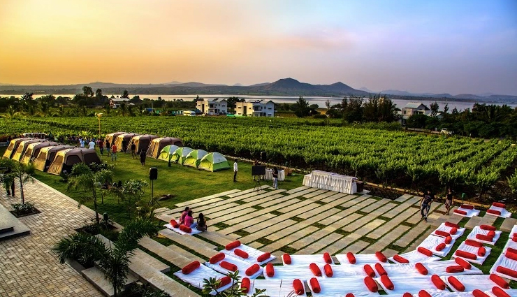 wine tasting in india,places for wine tasting in india,india,sula vineyard in nashik,soma vineyard in nashik,four seasons vineyards in baramati,pune,grover zampa vineyards in nandi hills,krsma vineyards in hampi