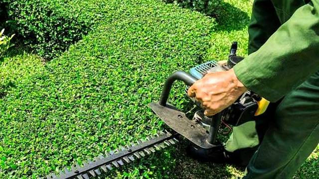 सर्दियों में भी खिलखिलाता रहेगा आपका बगीचा, इन टिप्स की मदद से करे इसकी खास देखभाल garden care tips