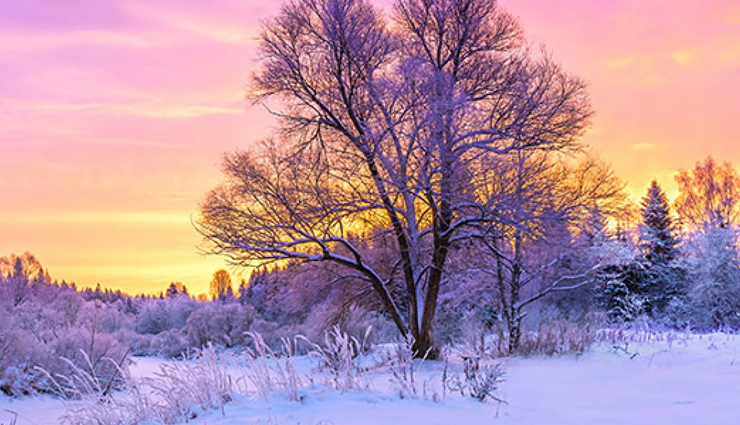 Enjoy Short Trips in Winters at These 6 Beautiful Places in India