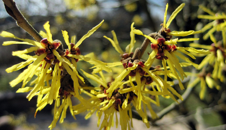 body odor change,body odor treatment,body odor during pregnancy,body odor in children,body odor smells like onions,body odor after pregnancy,body odor after shower,body odor pills,body odor smells,body odor and diet,body odor and menopause,body odor after surgery,body odor and pregnancy,body odor and diabetes,a body odor problem,a natural body odor,body odor breastfeeding,body odor before period,body odor body wash,body odor bacteria,body odor before puberty,body odor between legs,body odor birth control,vitamin b body odor,body odor condition,body odor covid,body odor child,body odor change pregnancy,body odor cancer,vitamin c body odor,body odor during period,body odor disorder,body odor during detox,body odor diseases,vitamin d deficiency body odor,vitamin d supplement body odor,body odor early pregnancy,body odor early pregnancy sign,body odor even after shower,body odor even with deodorant,body odor eliminator spray,body odor essential oils,vitamin e body odor,body odor from alcohol detox,body odor from alcohol,body odor from my chest,body odor from diabetes,body odor hormones,body odor home remedy,body odor how to get rid of it,body odor hacks,body odor health issues