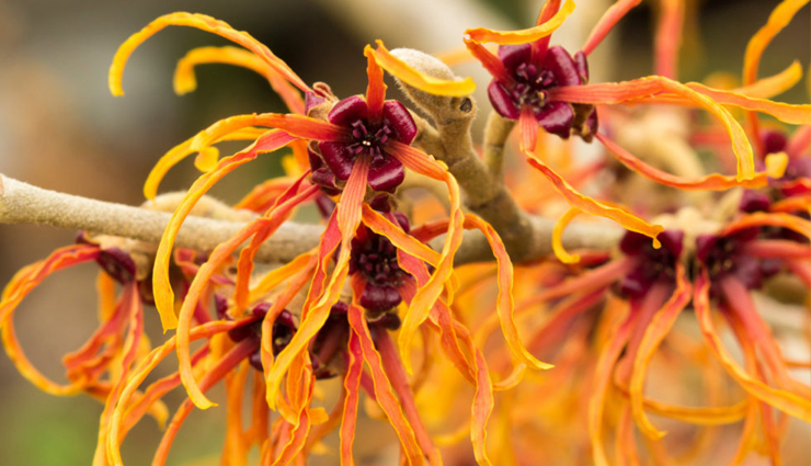 home remedies for sweating smell,natural remedies for body odor,how to get rid of underarm odor naturally,diy remedies for sweat smell,remedies for excessive sweating and body odor,home treatments for smelly feet,essential oils for body odor,natural deodorants for sweating smell,foods that help eliminate sweating smell,home remedies for perspiration odor