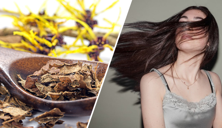 10 Amazing Benefits of Using Witch Hazel for Hair
