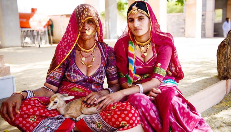rajasthans bishnoi society,breast feed,baby deer,holidays