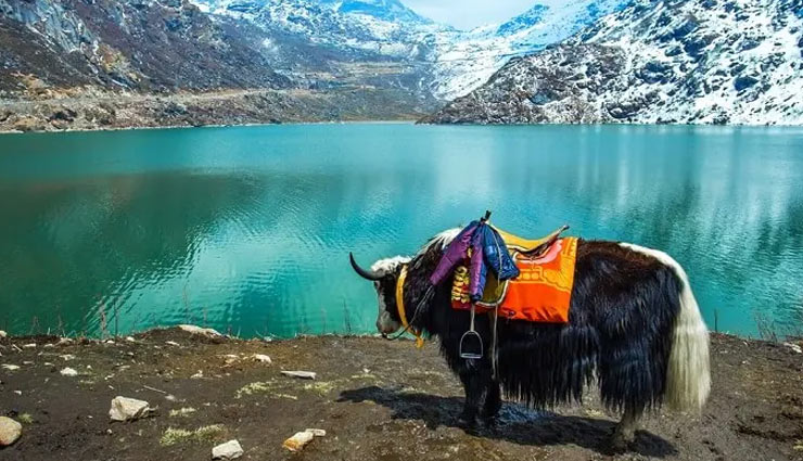 nainital,uttarakhand,pondicherry,tamil nadu,shimla,himachal pradesh,sikkim,dzukou valley,safe places for women traveller in india,safe places in india,india