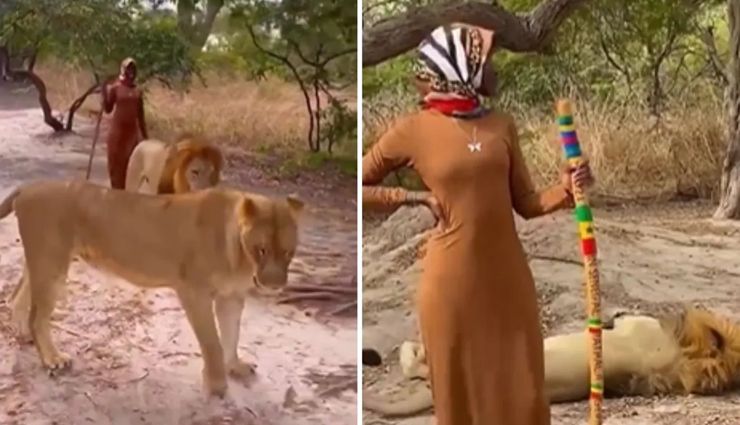 VIDEO : दिल की धड़कन बढ़ा देगा यह नजारा, खूंखार शेर और शेरनी संग बेखौफ घूमती दिखी महिला 