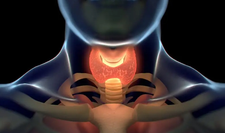 be alert as soon as these symptoms appear in women there can be a risk of thyroid cancer,Health,healthy living