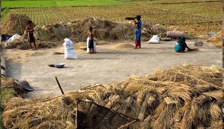 यहां महिलाएं निकलवा रही हैं कोख, वजह कर देगी सोचने पर मजबूर maharashtra,beed,womens,wombs,sugarcane farms,weird news in hindi