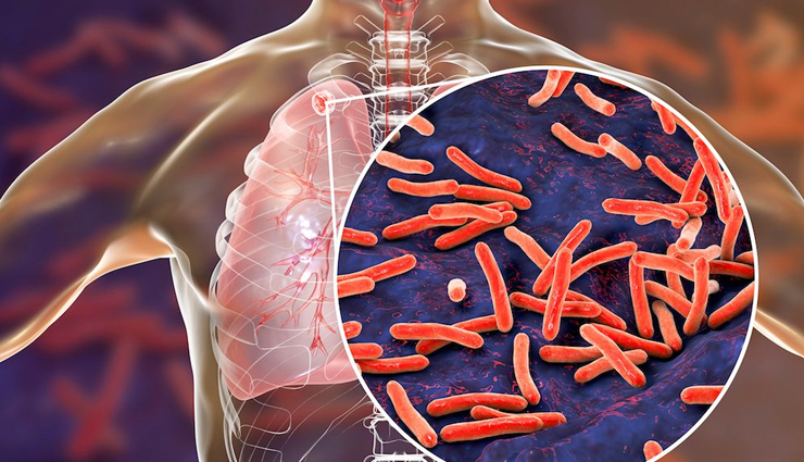 wood apple,health benefits,rich in antioxidants,immune system,digestive health,fiber,constipation,diarrhea,oral health,anti-inflammatory,blood sugar control,cholesterol levels,cardiovascular health,respiratory health,skin health,hair health,nutrient-dense,vitamin c,iron,safe consumption