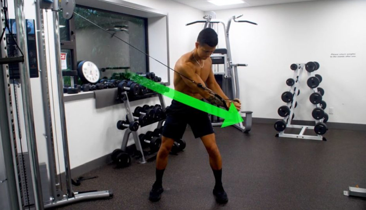 woodchoppers,russian twists,side plank hip lifts,bicycle crunches,heel touches,exercises to melt your side fat,exercises,side fat,tips to reduce side fat,fitness tips,Health tips