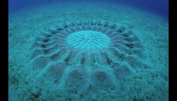 mysteries cases about oceans,unsloved cases of ocean,unsloved mysteries of ocean,facts about sea. facts about ocean