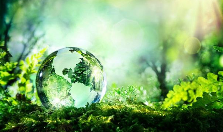 World Environment Day 2020: PM Modi Request People To Save The Planet Earth