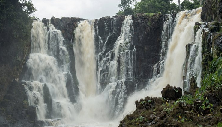 new world heritage sites,world heritage sites,as-salt,ivindo national park,church of atlantida,hima cultural area,kakatiya rudreshwara temple,chinchorro mummies