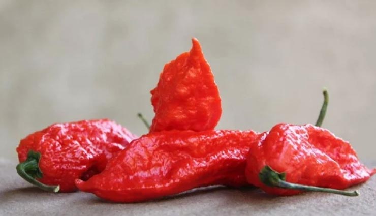इस मिर्च को खाकर ना जाने कहां-कहां से निकलेगा धुआं, सामान्य से 400 गुना तीखी