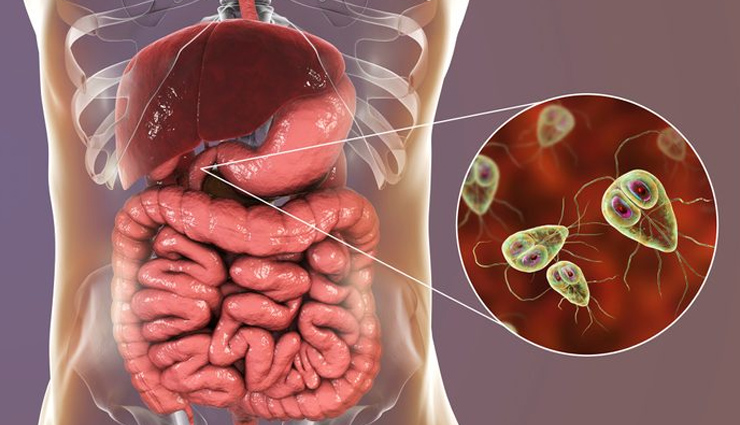 papaya seeds benefits,papaya seeds health benefits,anti-inflammatory properties of papaya seeds,papaya seeds for digestion,papaya seeds for liver health,papaya seeds for cancer prevention,papaya seeds for natural birth control,papaya seeds for skin health,papaya seeds for heart health,papaya seeds for immune system boost