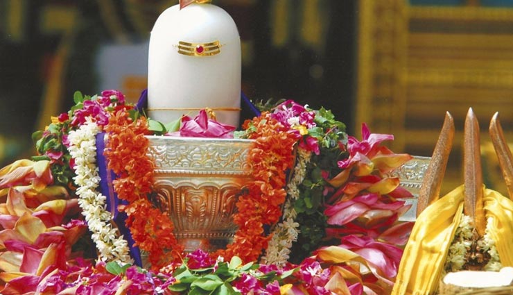 astrology tips,astrology tips in hindi,gods flowers measures,measures for good luck,good luck measures by gods flowers