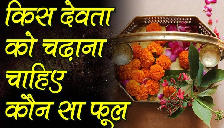 पूजा के दौरान फूलों का विशेष महत्व, देवी-देवता अनुसार करें अर्पित