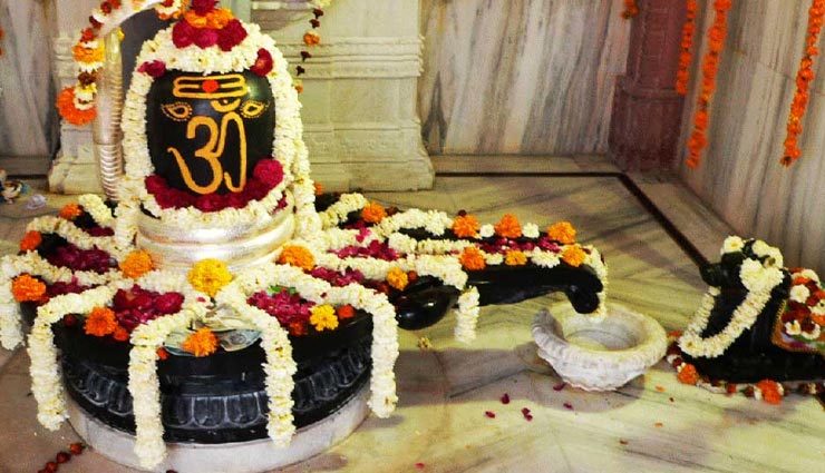 शिवलिंग पर जल चढ़ाने से होते हैं ये शुभ प्रभाव, सावन के महीने में उठाए फायदा