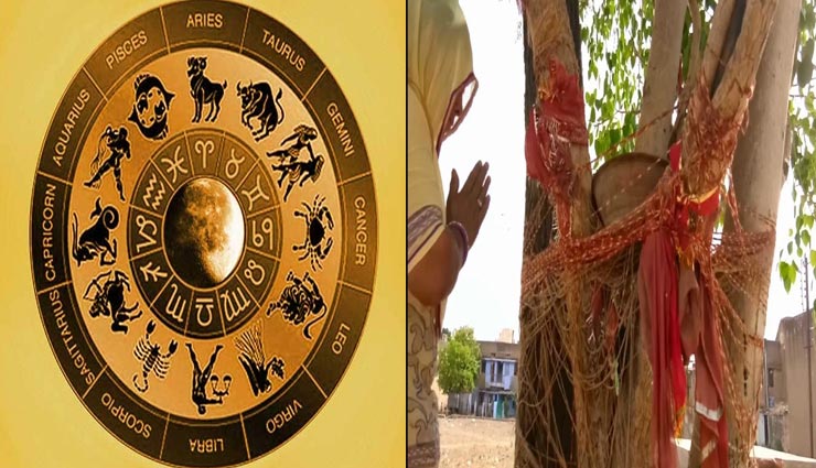 शास्त्रों में वृक्षों को बताया है पूजनीय, किस्मत चमकाने के लिए राशिनुसार करें इनकी पूजा