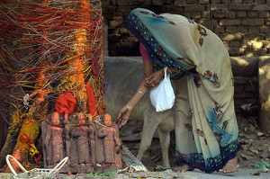 worshiping different tree,astrology tips