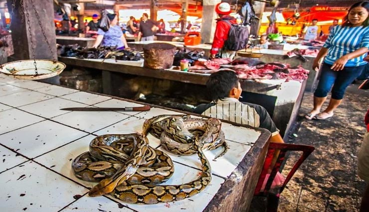 विश्व स्वास्थ्य संगठन का जांच दल वुहान में कर रहा जांच, किया सीफूड बाजार का दौरा