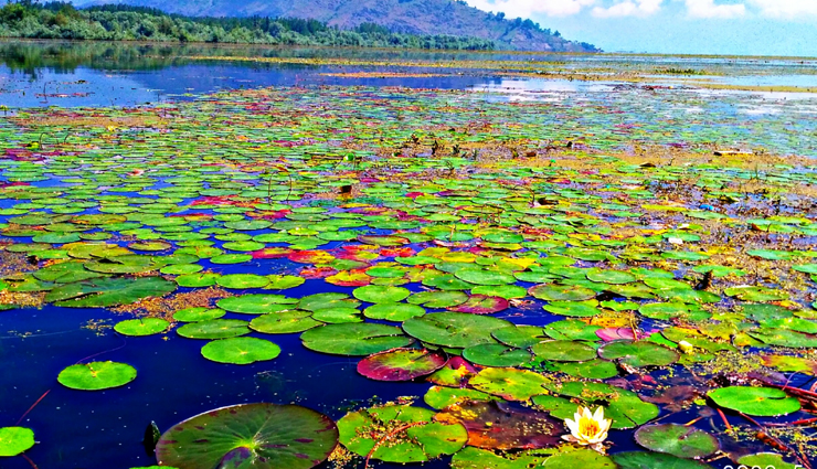 disappear,places to visit  in india before they disappear,travel,travel guide,travel tips