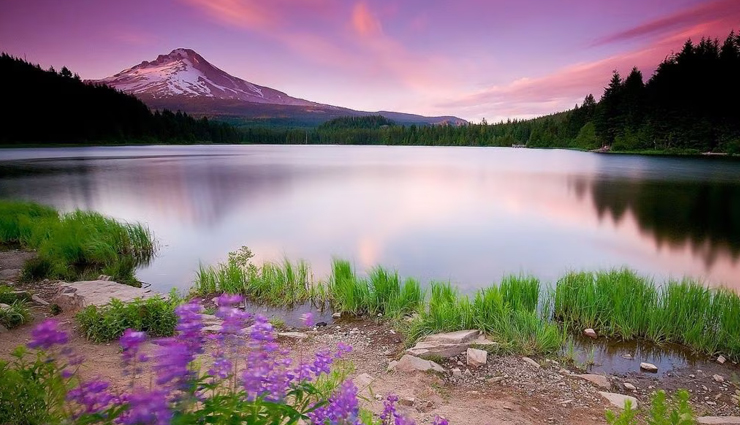 beautiful lakes in india,scenic lakes to visit in india,must-visit lakes in india,india most beautiful lakes,serene lakes in india,top lake destinations in india,natural wonders indian lakes,lake tourism in india,best lake views in india,explore india stunning lakes