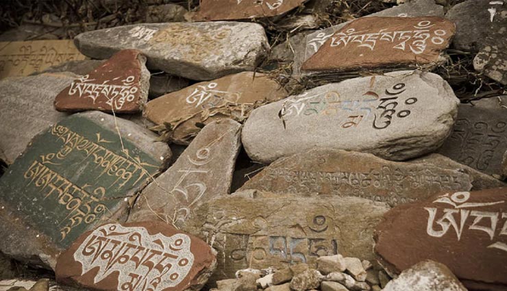 पूरी दुनिया में सिर्फ एक महिला ही जानती हैं यह अनोखी भाषा