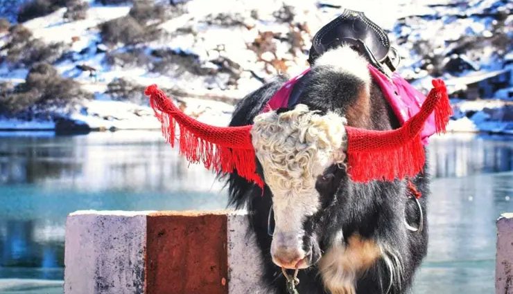 adventure sports in sikkim,thrilling activities in sikkim,sikkim adventure tourism,outdoor sports in the himalayas,sikkim trekking and rafting,extreme sports in sikkim,sikkim paragliding and hiking,mountain biking in sikkim,rock climbing and rappelling in sikkim,best adventure sports destinations in sikkim