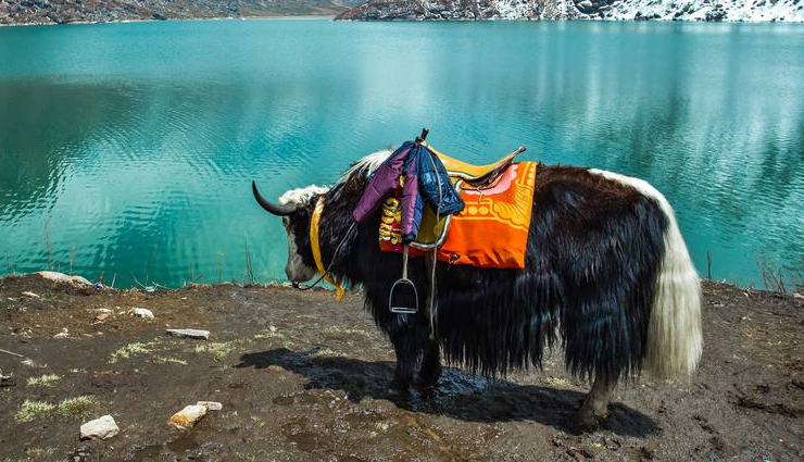 family-friendly activities in northeast india,things to do with kids in northeast india,family fun in northeast india,north east india family travel,kid-friendly attractions in northeast india,family vacation ideas in northeast india,northeast india adventures for families,family bonding in northeast india,best places for family outings in northeast india,northeast india family getaways