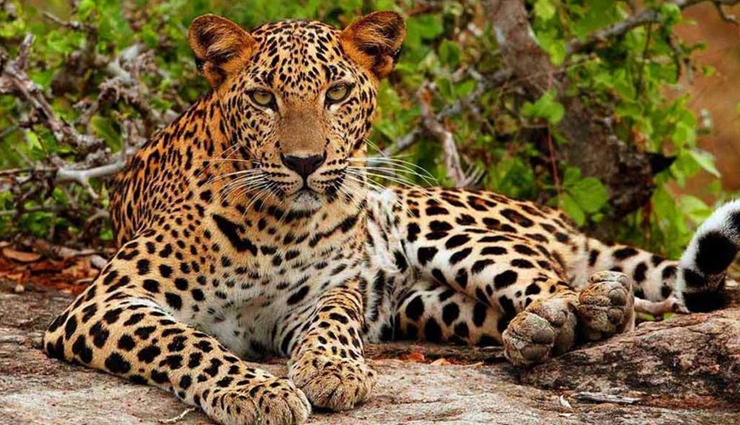 sri lanka,tourist destinations in sri lanka,sri lanka tourist places,holidays in sri lanka,travel in sri lanka