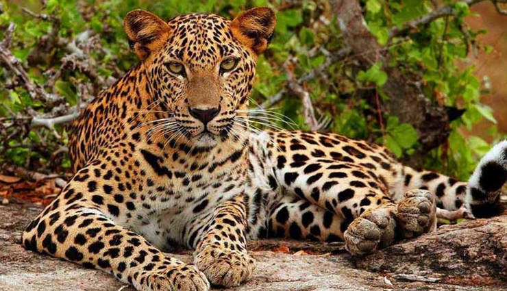 sri lanka tourist places,best places to visit in sri lanka,sri lanka travel guide,top attractions in sri lanka,sri lanka in september,kandy tourism,sigiriya rock fortress,yala national park safari,colombo attractions,galle dutch fort,sri lanka beaches